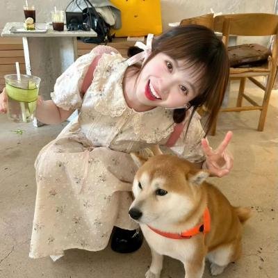 前无古人 动态漫